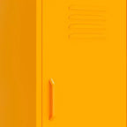 Armoire de rangement, classeur autoportant avec étagères pour bureau, en acier