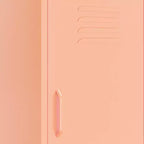 Armoire de rangement, classeur autoportant avec étagères pour bureau, en acier